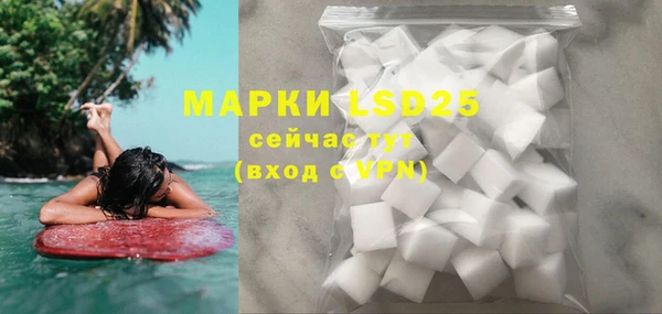 хмурый Бородино