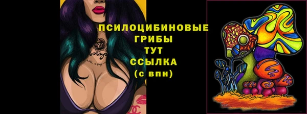 хмурый Бородино