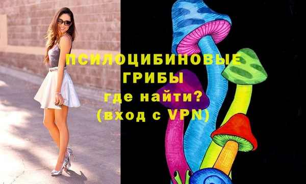 дмт Бугульма