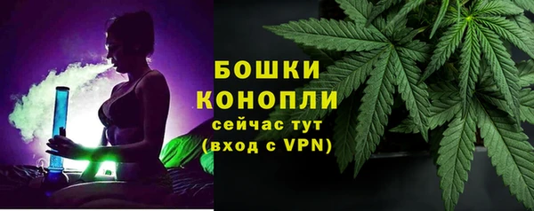 хмурый Бородино